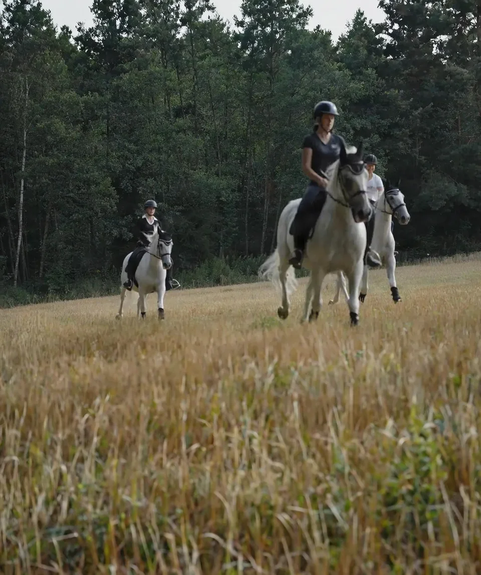 Three riders on grey horses beside an Austrian forest, from Equus WW Austria: Vienna, Vineyards & Lipizzaners