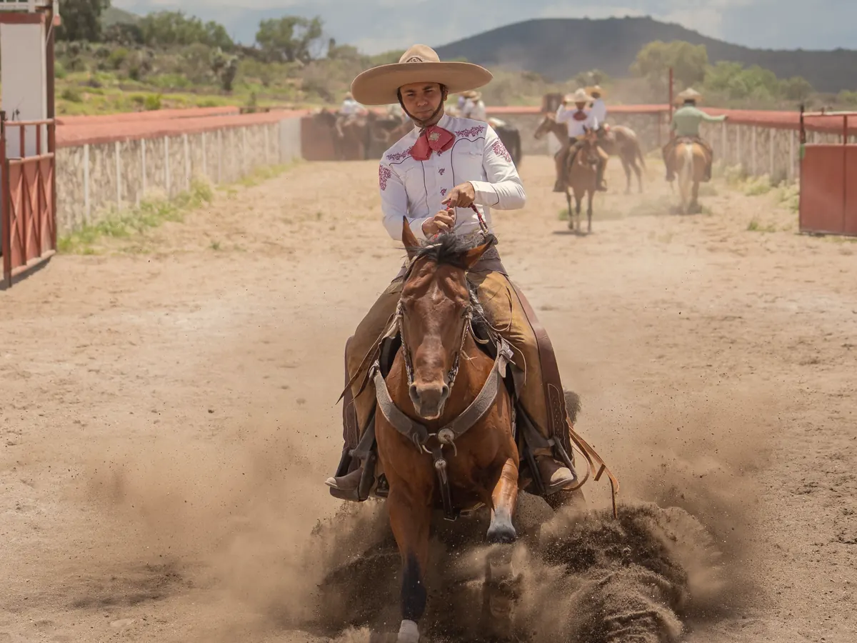 A charro on a chestnut horse at a charrerĂa in Mexico. Holding image